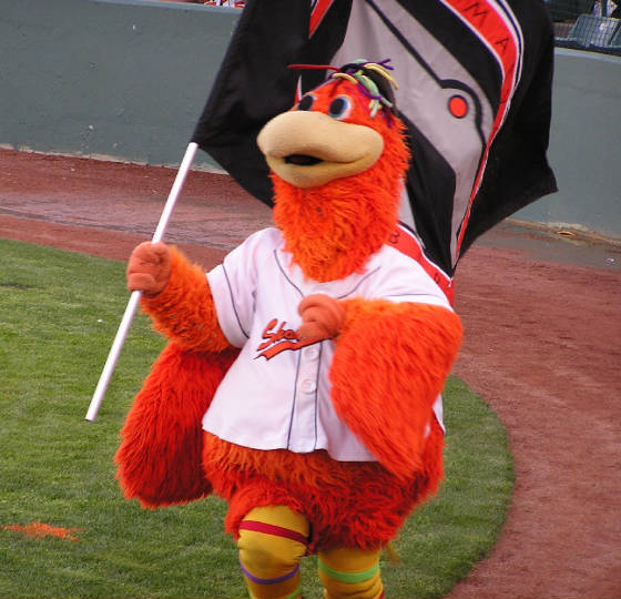 Sherman, the Shorebirds mascot- Salisbury, Md